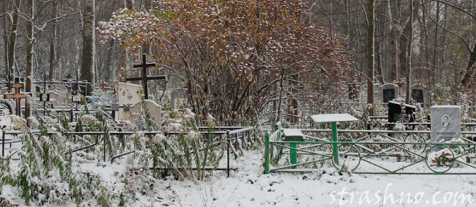 рассказ о мистическом провожатом с кладбища