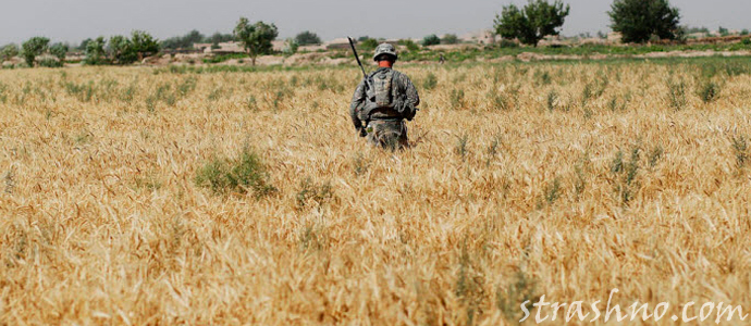 мистическая история о приснившемся солдате