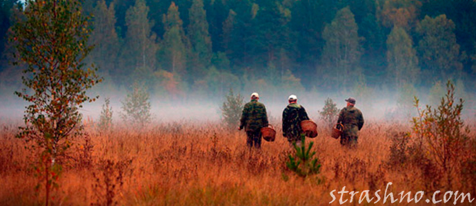 мистическая история о соседке ведьме