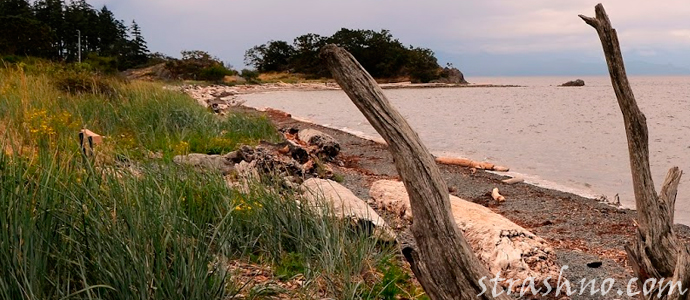 история о мистическом призраке в лагуне