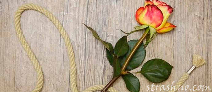 мистическая история о любовном привороте и его последствиях