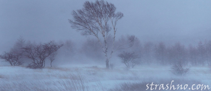 мистический рассказ о страшной метелице