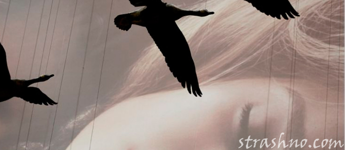 история об мистических снах