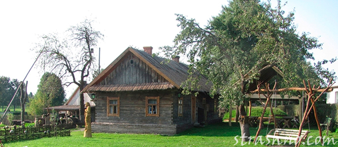 история о купленном доме в деревни