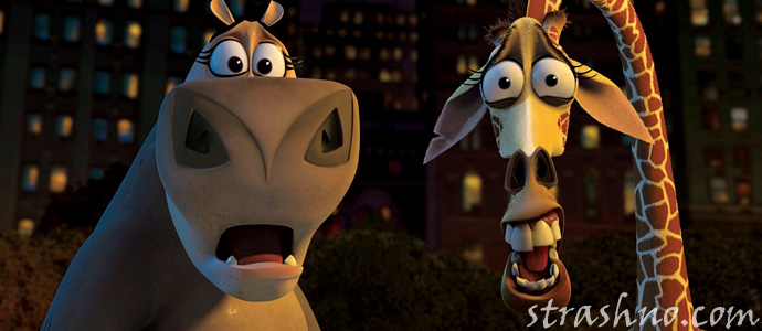 Лучшие мэмы о коронавирусе