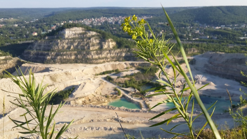 городская природа