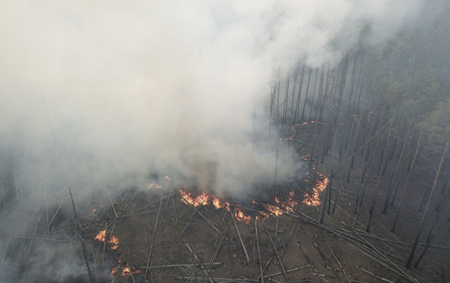 пожар в чернобыльском сосновом лесу