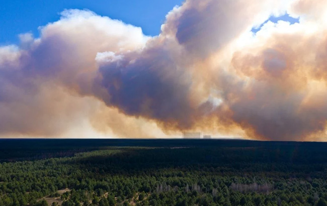 пожар в чернобыльском лесу