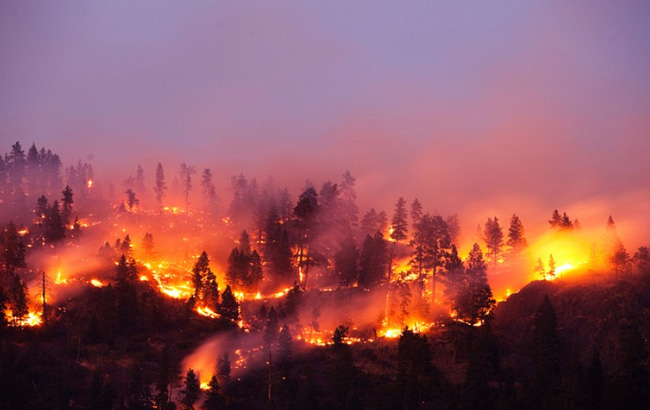 апрель 2020 года: горит чернобыльский лес