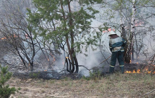 украинский пожарник борется с огнем