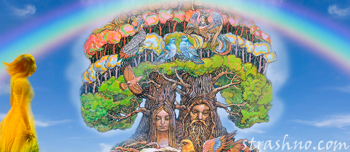 дерево рода и помощь предков