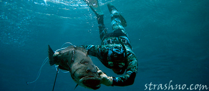 история о подводной рыбалке и встречей с русалкой