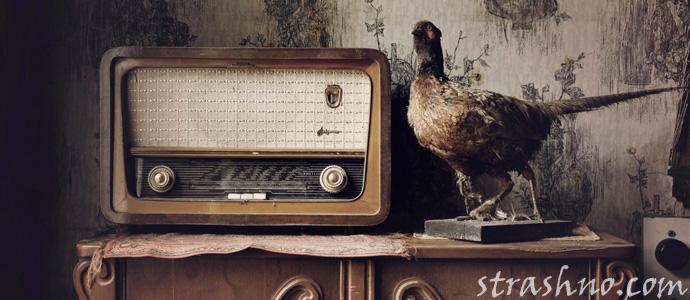 мистическая передача по радиоприемнику