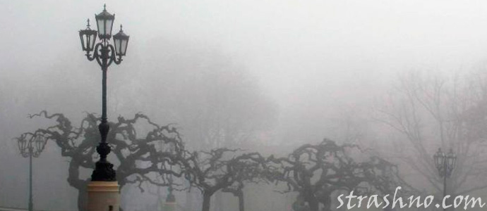 мистика в туманном городе