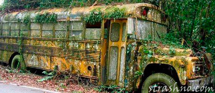 старый автобус