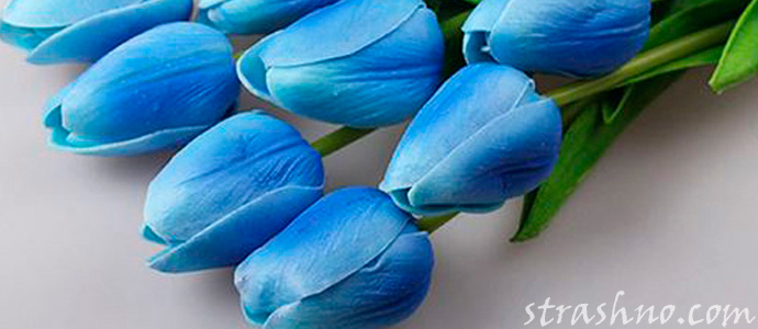ложные воспоминания о голубых тюльпанах