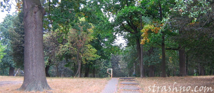 мистика старого парка