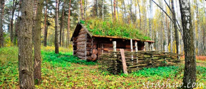 изба в лесу