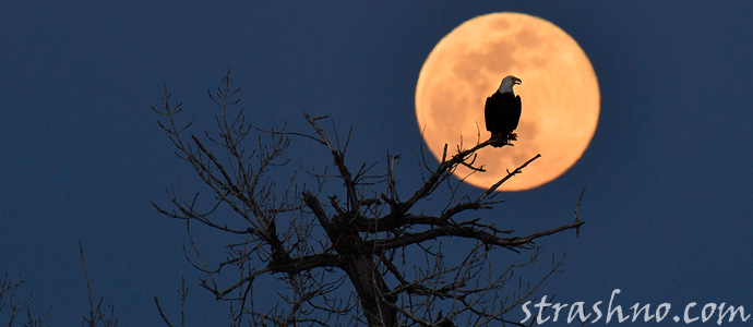 мистика полной Луны
