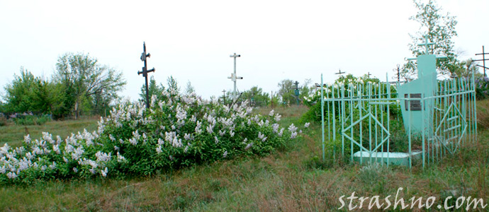 Фото умирающей природы