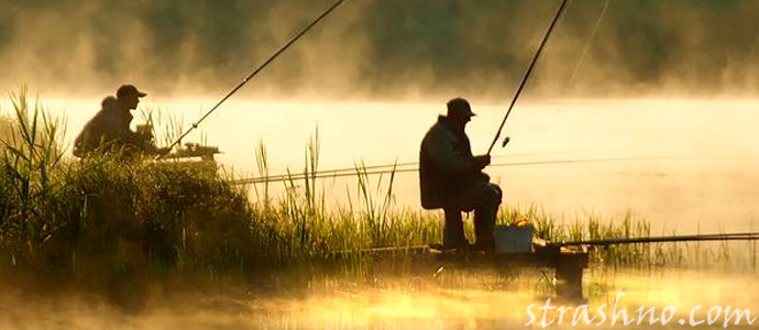 сон про рыбалку