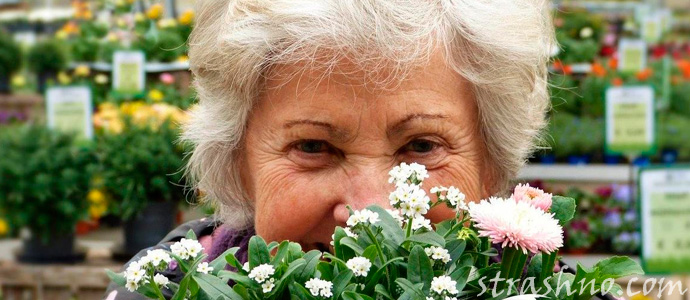 приснилась умершая бабушка