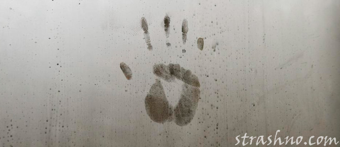 шесть пальцев на руке