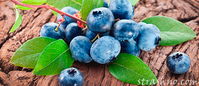 мистика с черничным вареньем