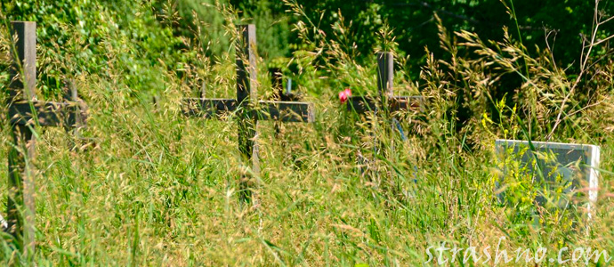 мистическая дата на старом надгробии