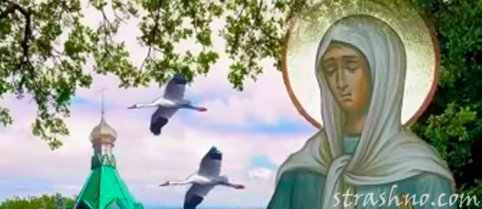 икона матроны