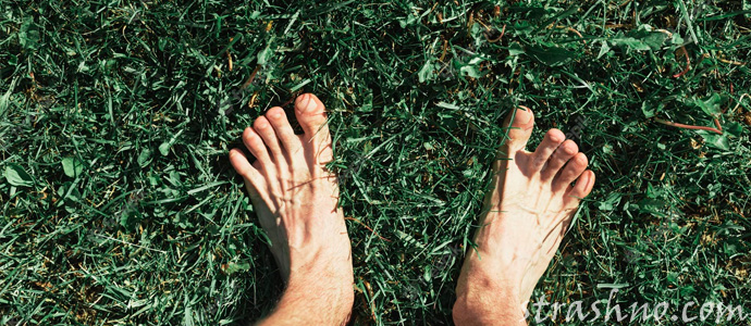 вещий сон про смерть