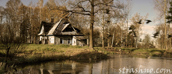 заброшенный деревенский дом