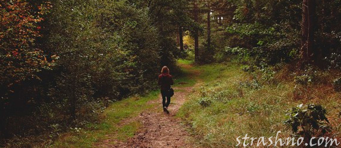 девушка заблудилась в лесу