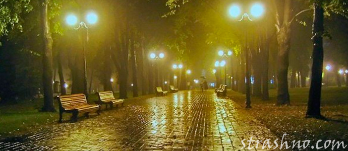 вечер в парке