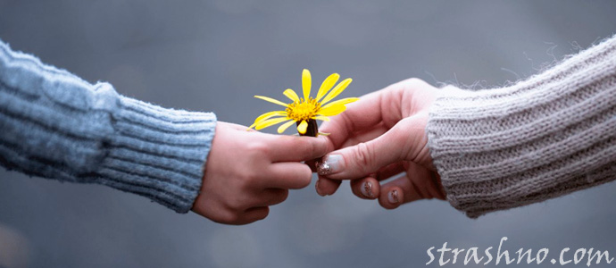 к чему снится цветок