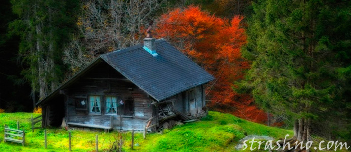 старая изба в лесу