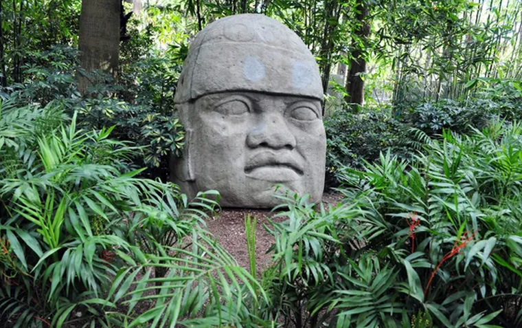 каменная голова ольмеков