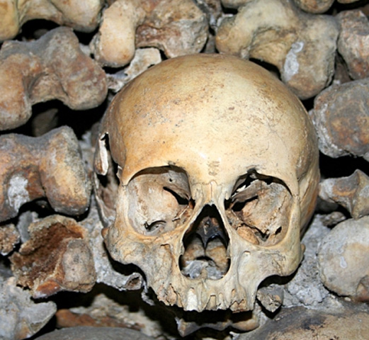 человеческий череп