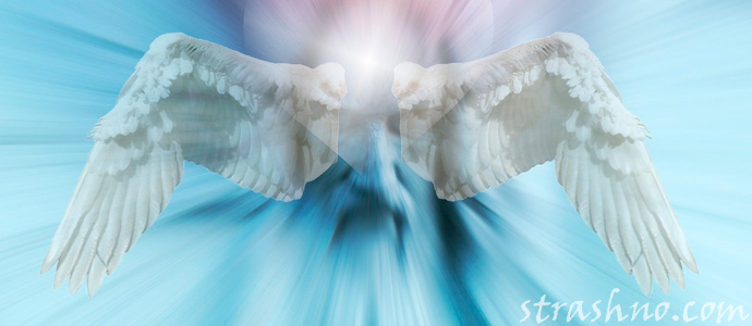 крылья ангела