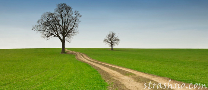 дорога в чистом поле