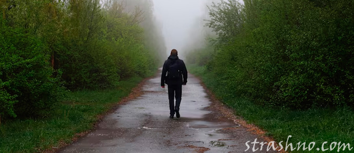 мужчина идет по лесной дороге