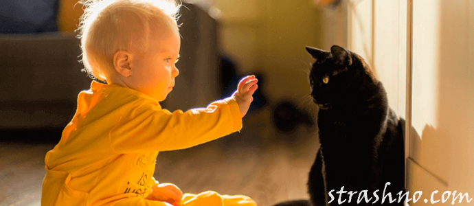маленький ребенок и черная кошка