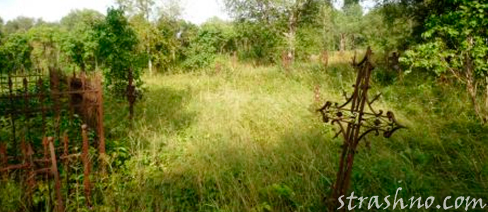 заброшенная могила на сельском кладбище