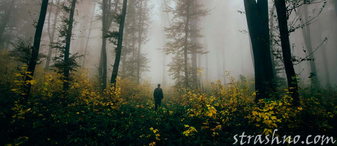 мужчина в лесу