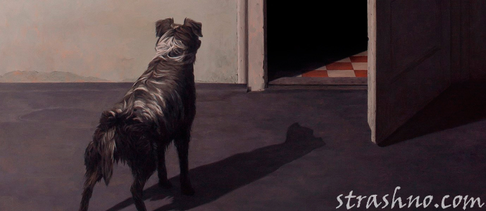 собака в комнате