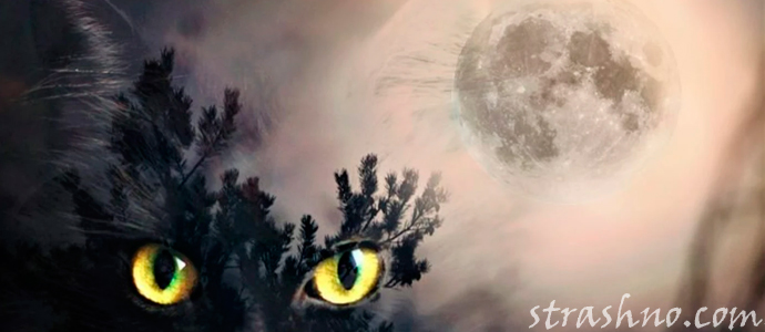 мистика в жизни человека