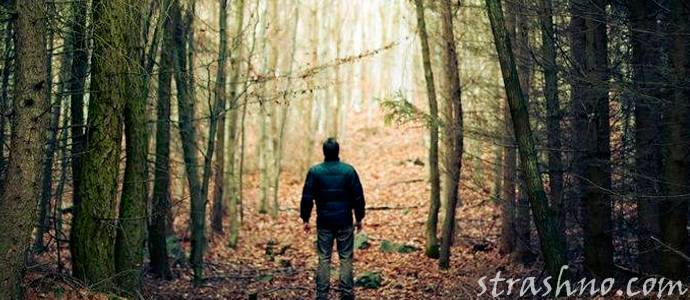 парень заблудился в лесу