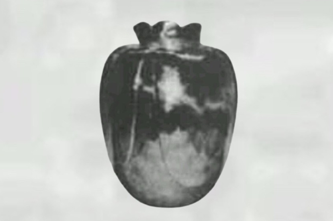 Ваза Бассано