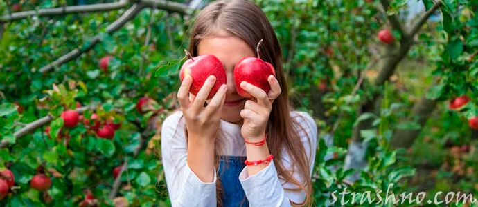 девочка с яблоками