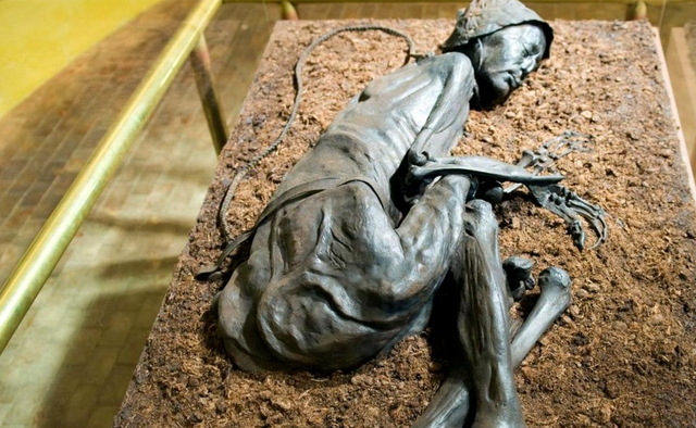 болотная мумия